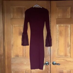 Elegant Burgundy Dress